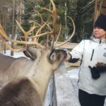 Nuuksio Reindeer Park_MAIN