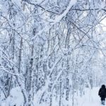 2-h Snowshoe Trekking_MAIN