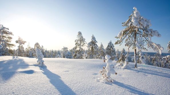 3-h Forest Skiing_4