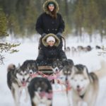 Husky and Reindeer Safari_MAIN