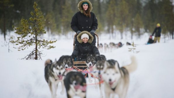 Husky and Reindeer Safari_11