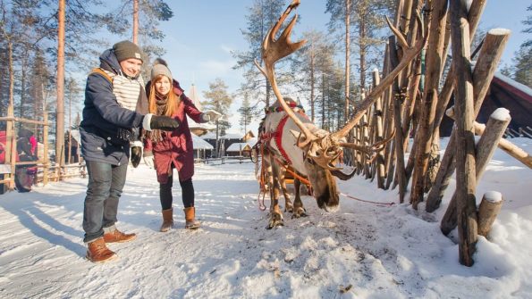 Husky and Reindeer Safari_2