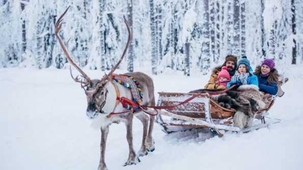 Husky and Reindeer Safari_3