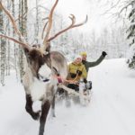 Husky and Reindeer Safari_MAIN