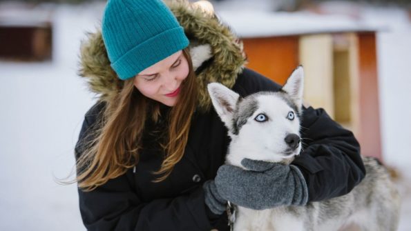 Husky and Reindeer Safari_7