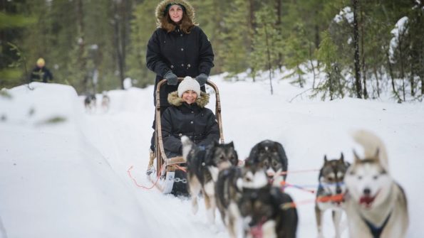 Husky and Reindeer Safari_9