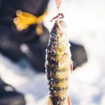 Ice Fishing Excursion_MAIN