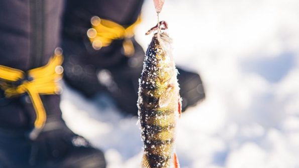 Ice Fishing Excursion_MAIN