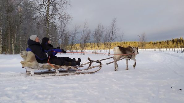 Reindeer Farm Visit_MAIN