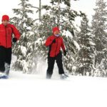 Snowshoe Trekking_MAIN