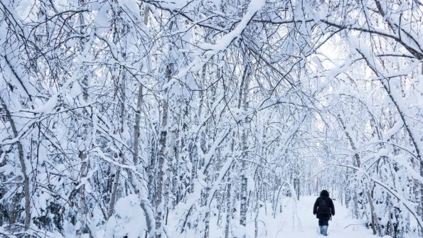 Snowshoe Trekking_9