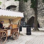 Tallinn Day Tour WITH Hotel P & D_MAIN