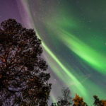 aurora hunting tour_MAIN